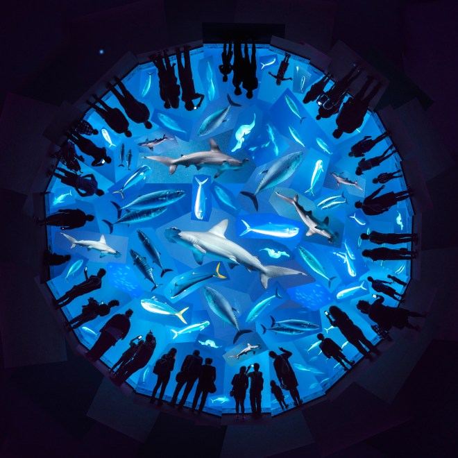 MURGATROYD IN RETROGRADE  2017