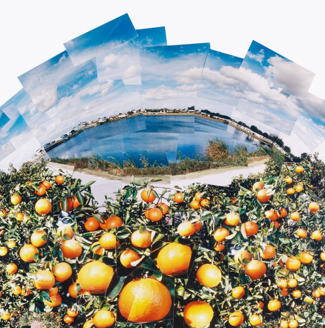 ORANGE GROVE (detail) 1997