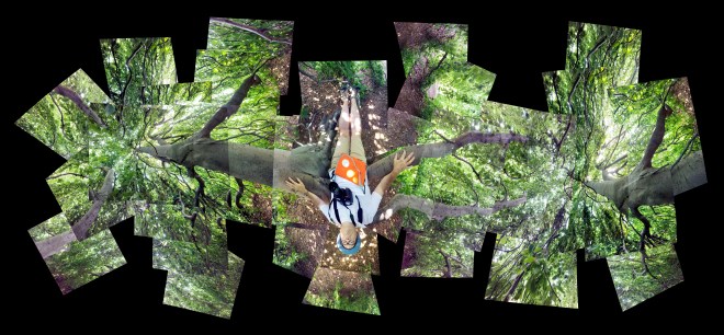 DOWN IN THE TREE  2018